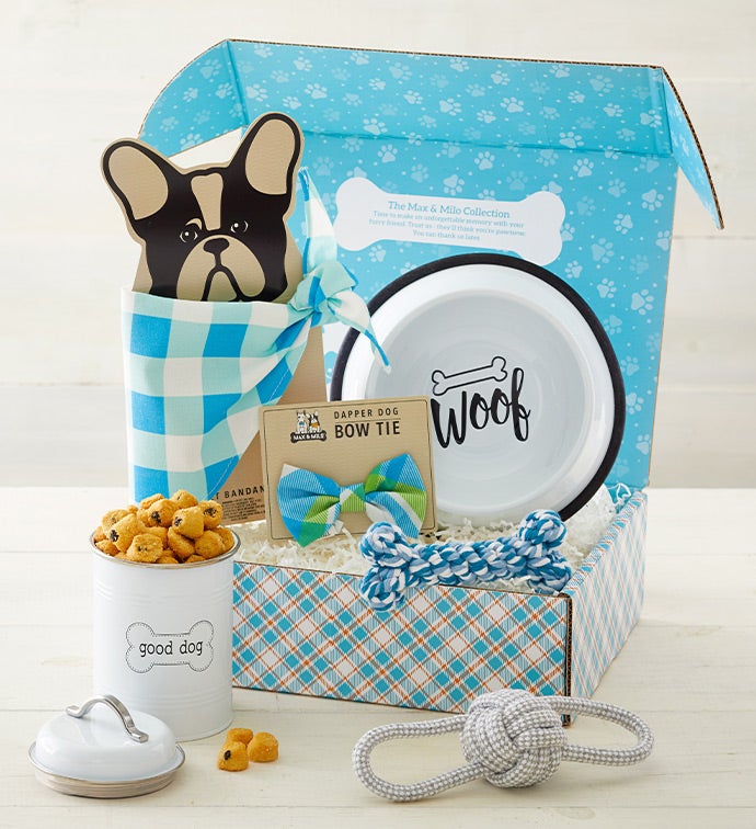 Pet Gifts Baskets 2023 Gifts for Dogs and Cats